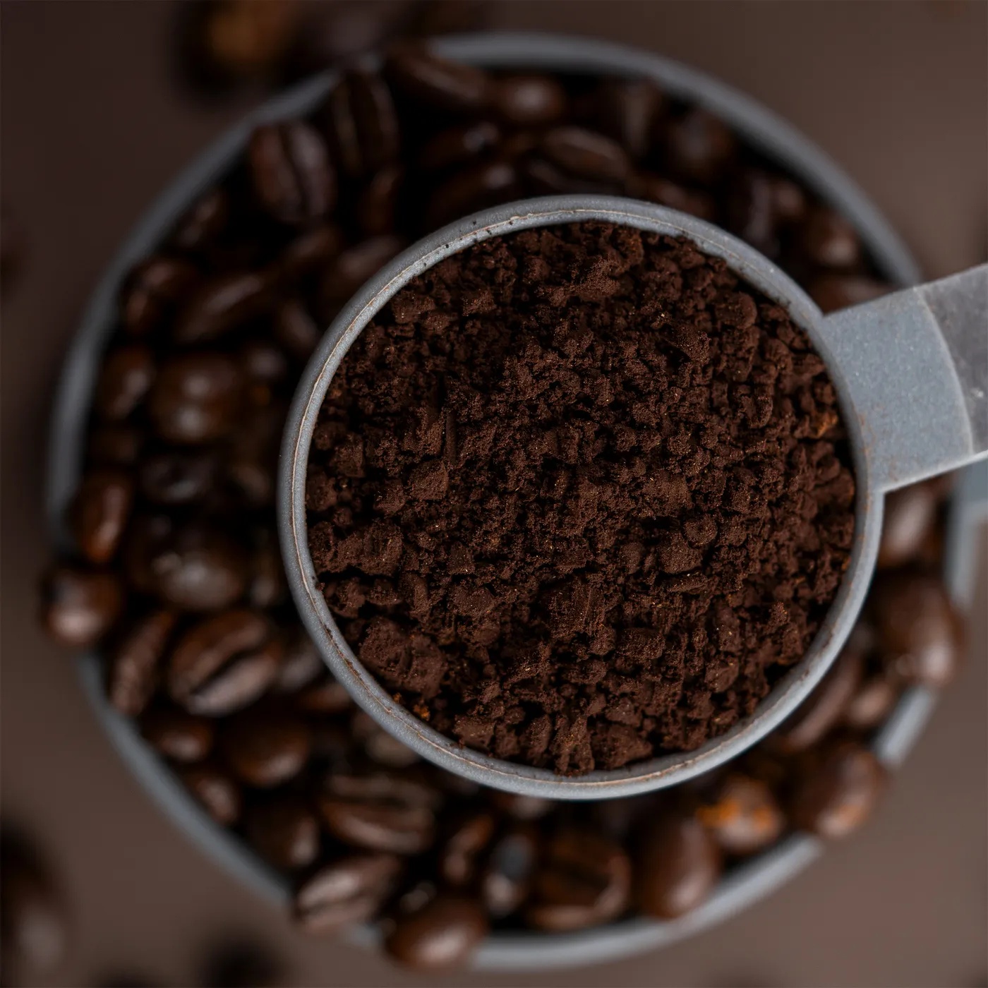 بن عربي محوج