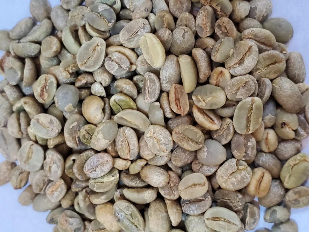 بن اسماعيلي محمص