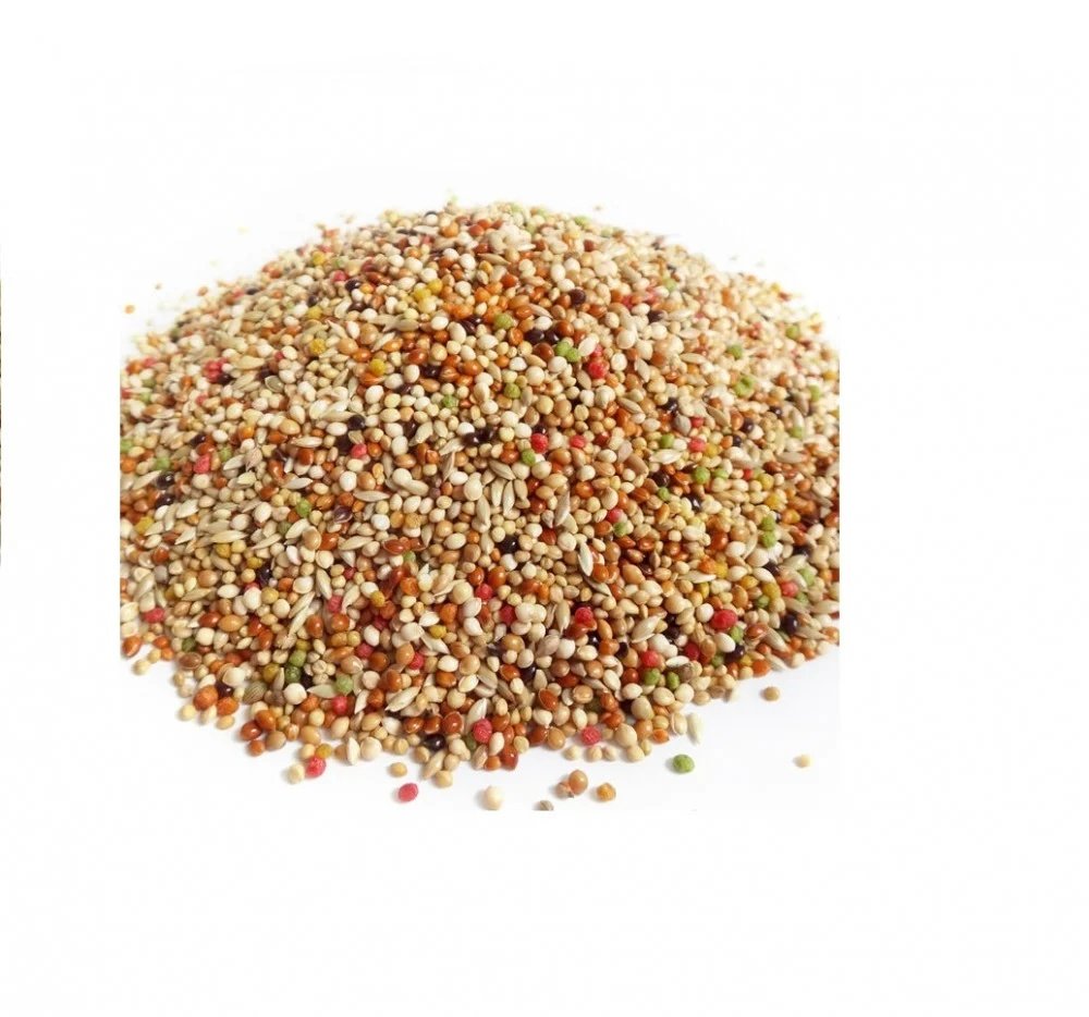 اكل العصافير