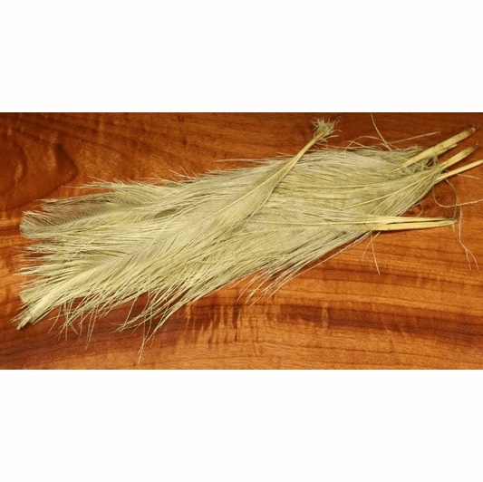 عشبة حلفا بر