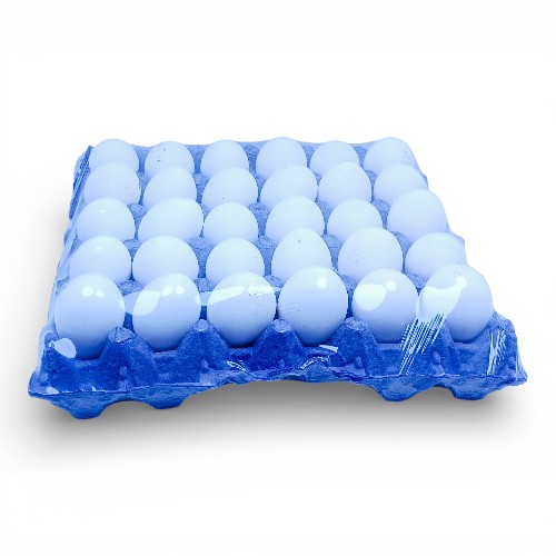 طبق  بيــض طااااااازج ( تبع العروض )